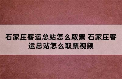 石家庄客运总站怎么取票 石家庄客运总站怎么取票视频